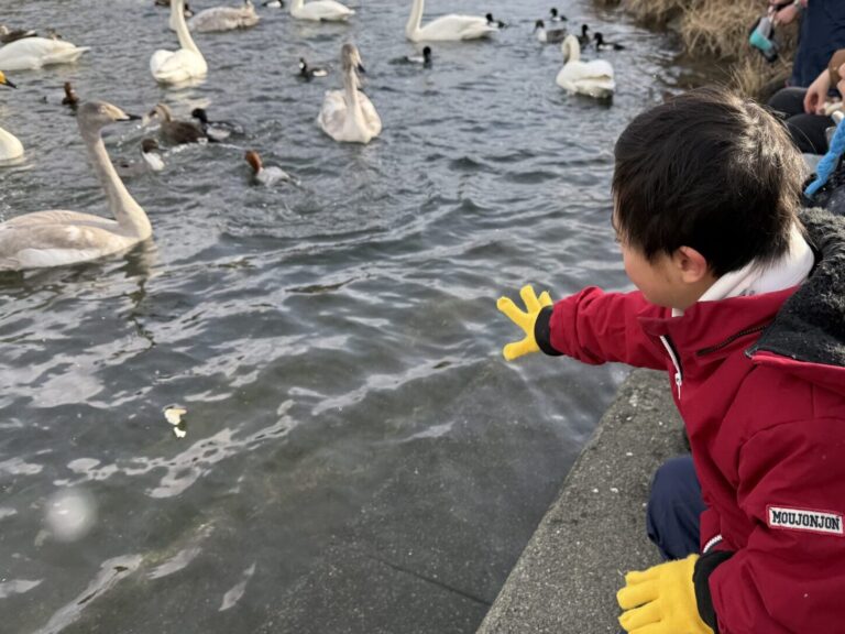 冬休みの思い出🦢